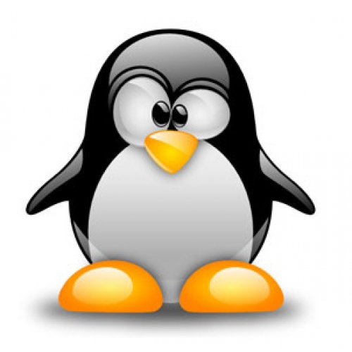 linux的nessus使用教程_linux命令使用视频教程_linux 使用教程