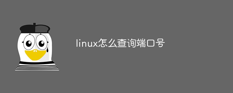 linux 查询端口日志_linux 查询程序端口_linux查询端口占用