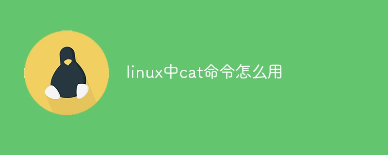 linux查看php版本命令_php查看版本命令_linux 查看系统版本命令