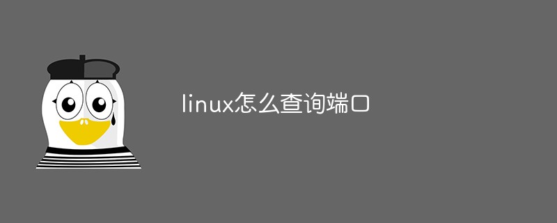 端口占用查询 linux_linux 查看程序端口_linux 查询程序端口