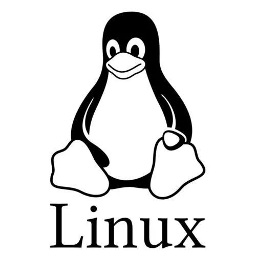 linux系统下载什么样的视频播放器好_用windows系统查看linux时间_比较好用的linux系统