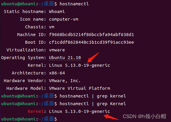查看linux 系统版本_linux 显示操作系统版本_查看linux系统版本命令
