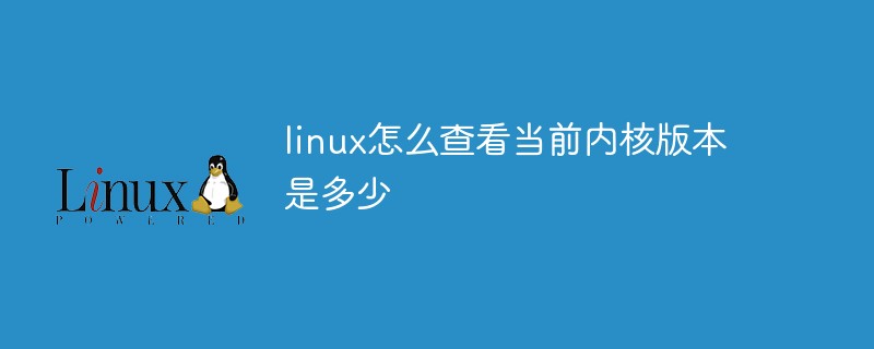 shell查看linux版本信息_linux 查看版本信息_linux如何查看系统版本信息