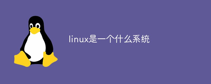 linux后门n种姿势_linux 4种文件类型_linux是一种什么软件