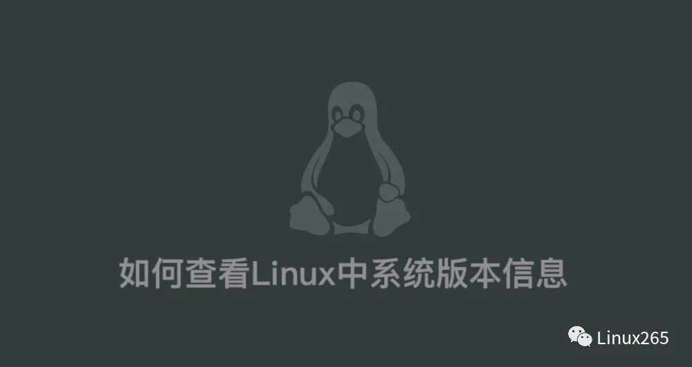 查看版本命令_查看版本号linux_linux查看版本
