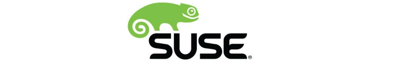 04 suse.png