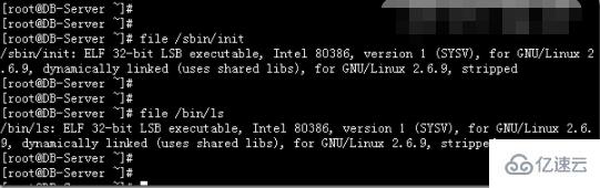 如何查看linux是32位还是64位  linux 第5张