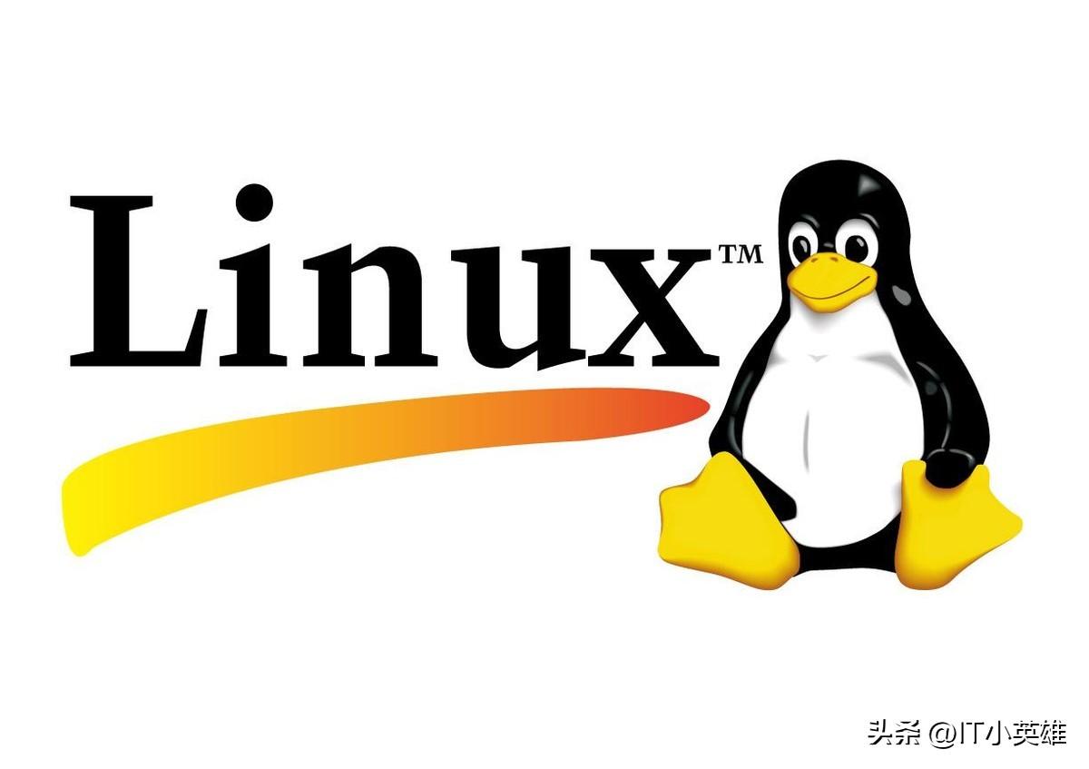 执行文件是什么意思_执行文件linux_linux怎么执行bin文件